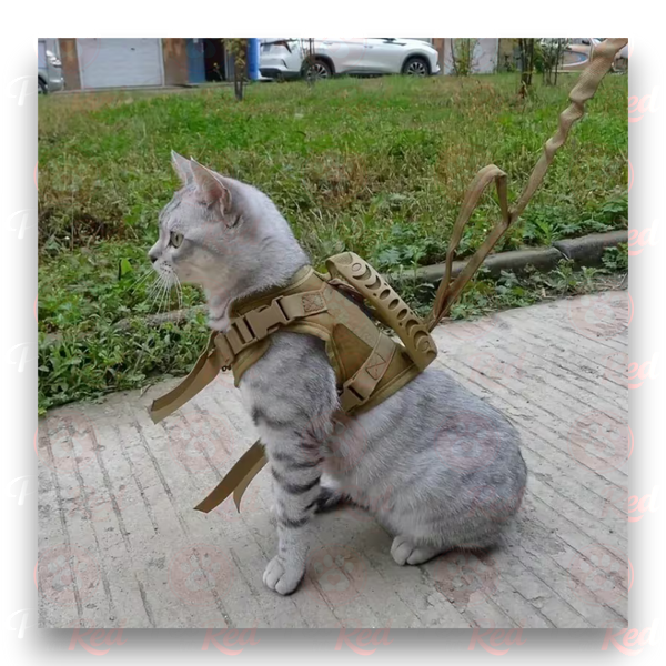 Шлейка-жилет для котів &mdash; шлея для прогулянок C0003blue фото