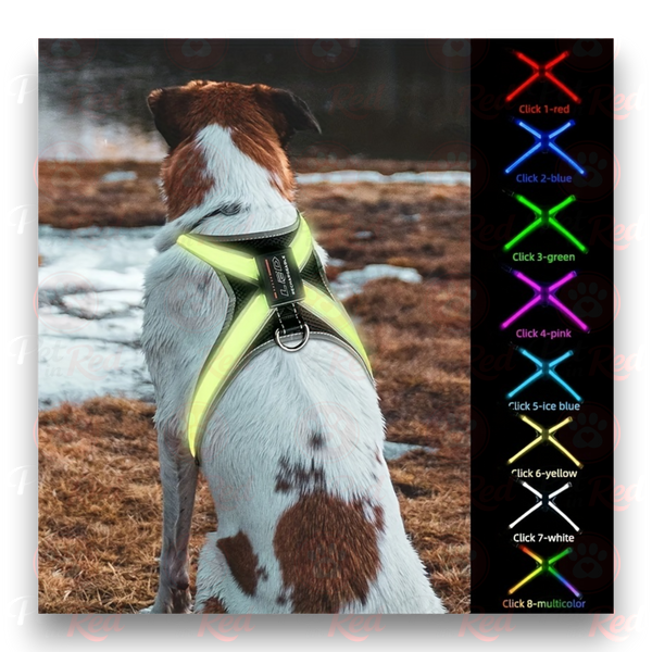 LED жилет для собак D0031 фото