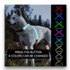 LED жилет для собак D0031 фото 3