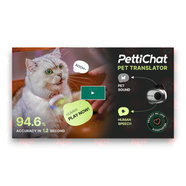 PettiChat: AI-пристрій перекладач мови котів та собак U0030brown фото