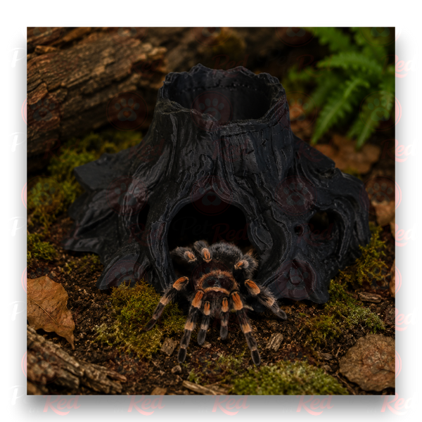 Коренева печера для акваріума та тераріума PUU0001black фото