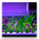 Штучні водні трави для акваріумів (10шт) F0006-2 фото 7