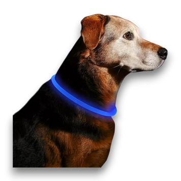 Неоновий LED-нашийник для собак (USB) D0009bluem фото