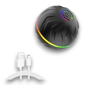 Smart Ball - Розумний м'яч для собак D0010black фото